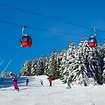 Bergbutzen Mit Balkon Braunlage