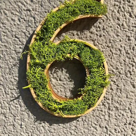 Bergbutzen Mit Balkon * Braunlage