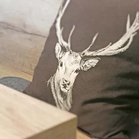 公寓 Bergbutzen Mit Balkon