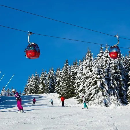 Bergbutzen Mit Balkon Braunlage