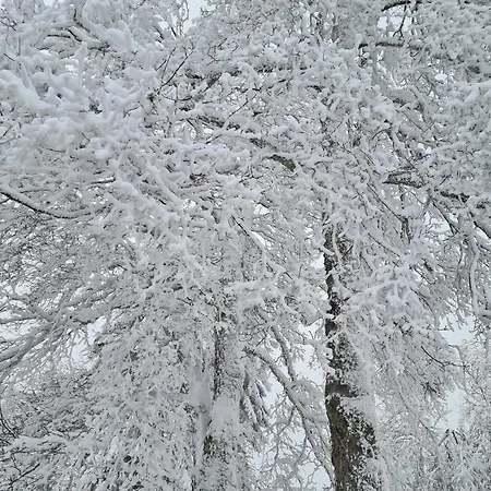 Bergbutzen Mit Balkon Braunlage