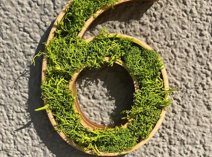 Bergbutzen Mit Balkon * Braunlage