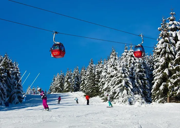 Bergbutzen Mit Balkon Braunlage