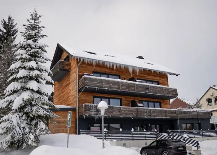 Bergbutzen Mit Balkon Braunlage